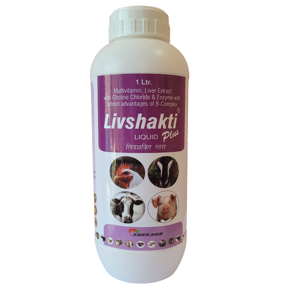 LIVSHAKTI PLUS